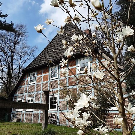 Schoenes Apartment Vor Den Toren Hamburgs - Keine Monteurwohnung Asendorf Dış mekan fotoğraf