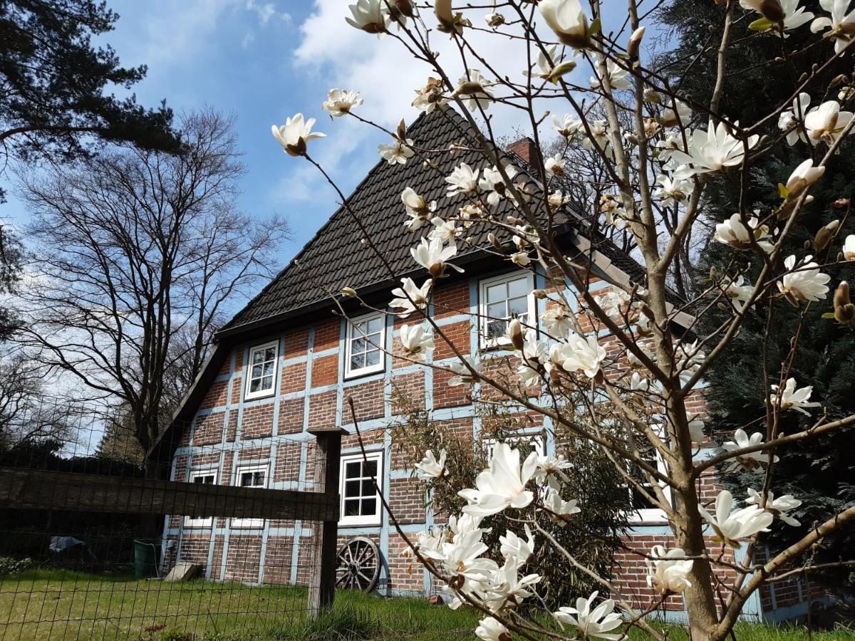 Schoenes Apartment Vor Den Toren Hamburgs - Keine Monteurwohnung Asendorf Dış mekan fotoğraf